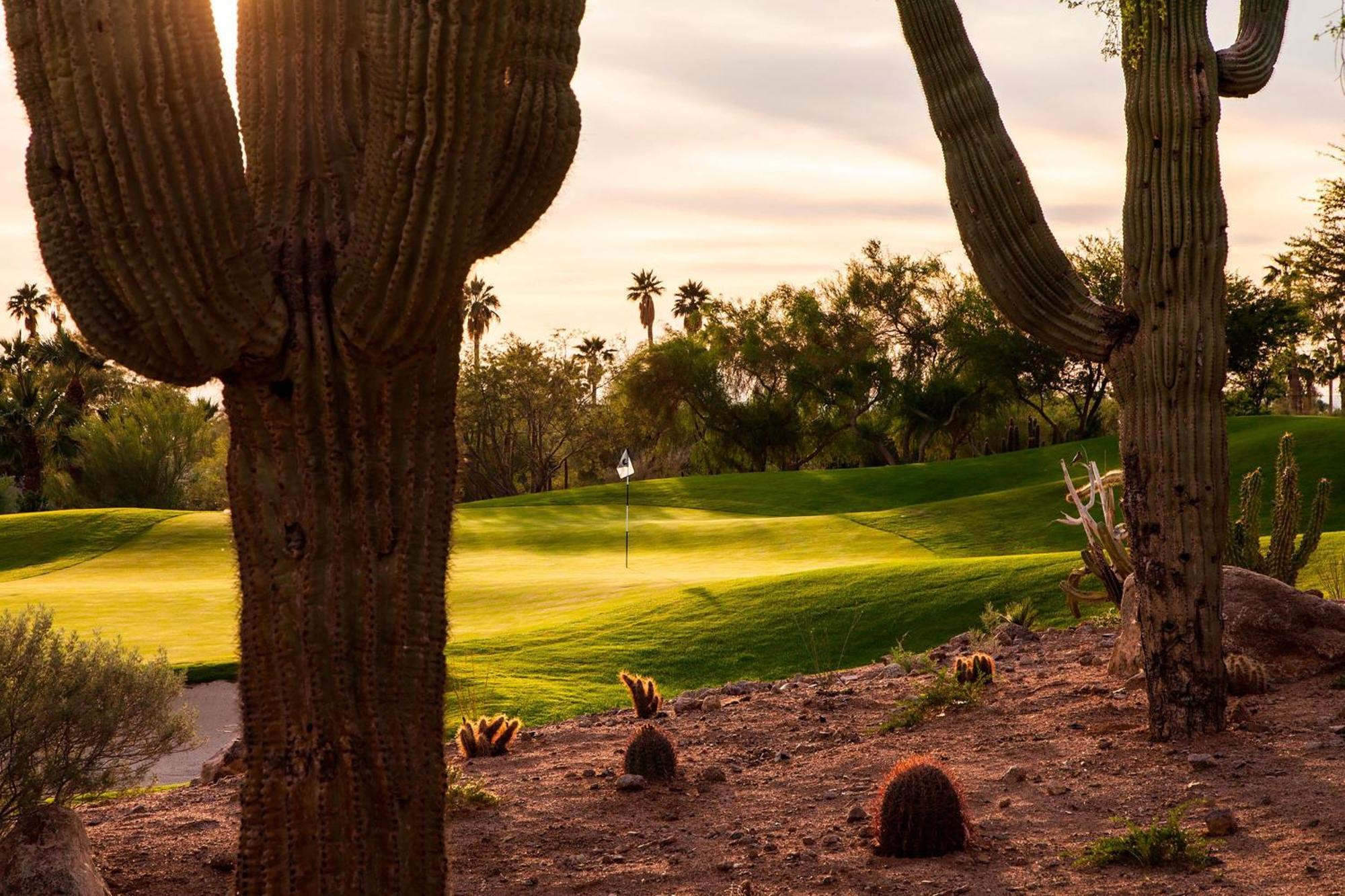 The Phoenician, A Luxury Collection Resort, سكوتسدايل المظهر الخارجي الصورة